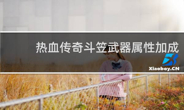 热血传奇斗笠武器属性加成