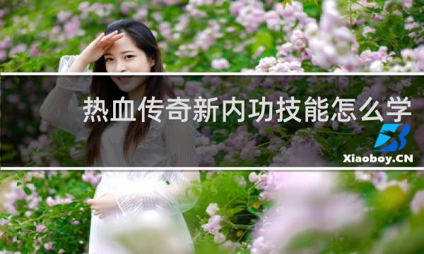 热血传奇新内功技能怎么学