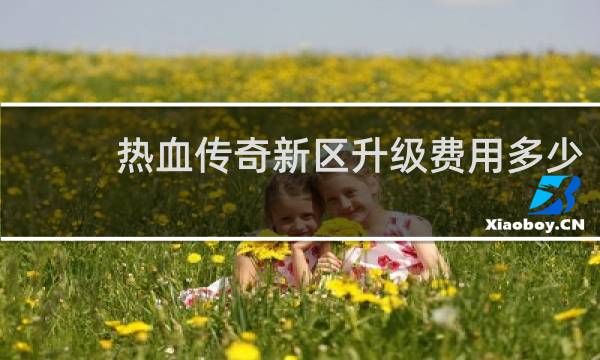 热血传奇新区升级费用多少