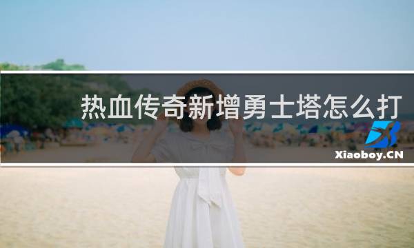 热血传奇新增勇士塔怎么打