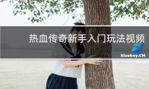 热血传奇新手入门玩法视频