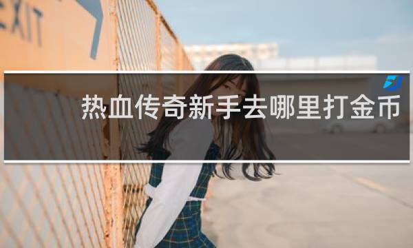热血传奇新手去哪里打金币