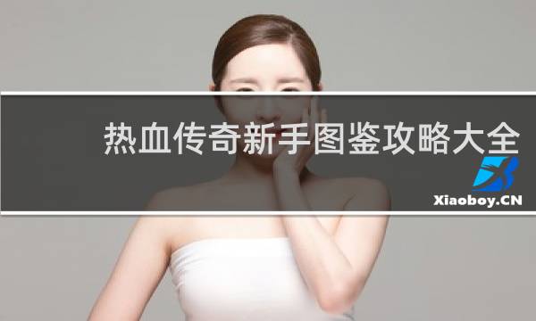 热血传奇新手图鉴攻略大全