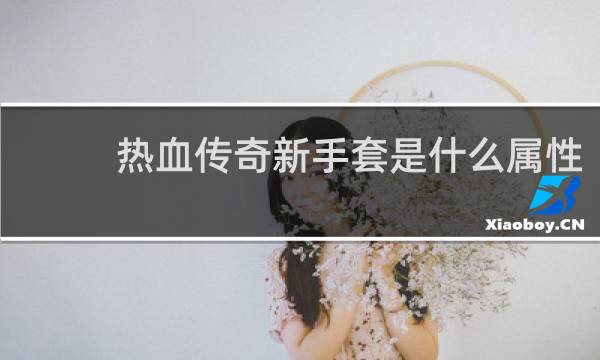 热血传奇新手套是什么属性