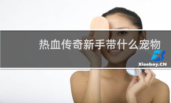 热血传奇新手带什么宠物