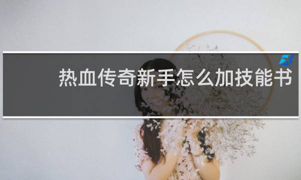 热血传奇新手怎么加技能书