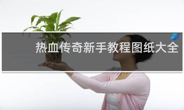 热血传奇新手教程图纸大全