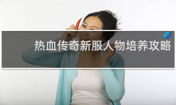 热血传奇新服人物培养攻略