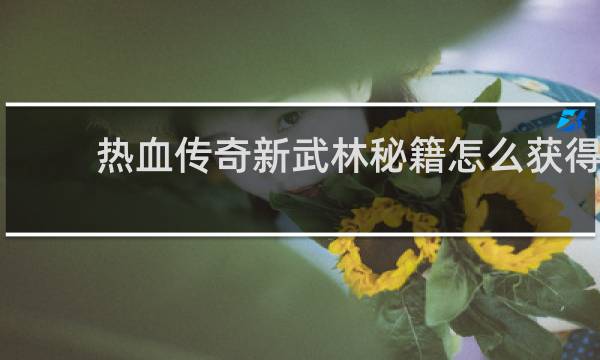 热血传奇新武林秘籍怎么获得