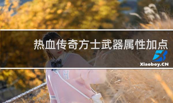 热血传奇方士武器属性加点