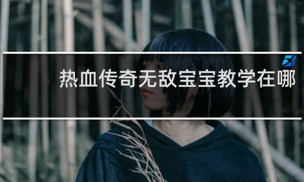 热血传奇无敌宝宝教学在哪