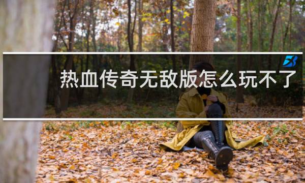 热血传奇无敌版怎么玩不了