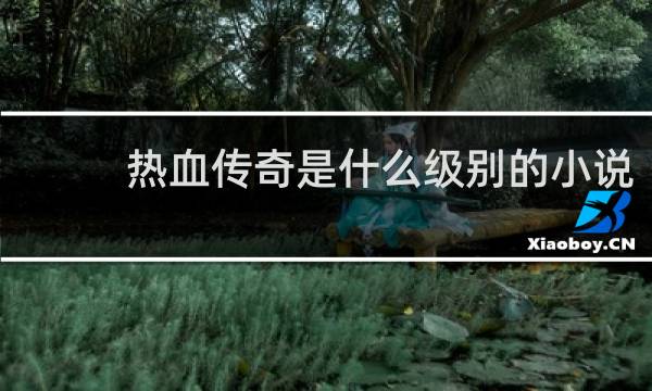 热血传奇是什么级别的小说