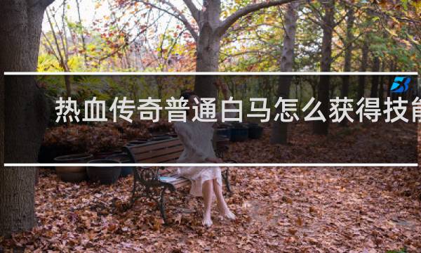 热血传奇普通白马怎么获得技能