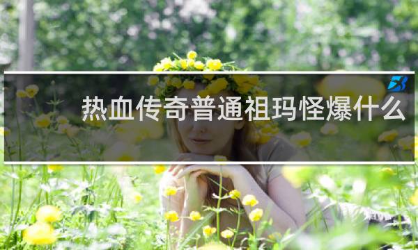 热血传奇普通祖玛怪爆什么