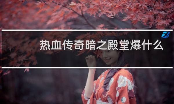 热血传奇暗之殿堂爆什么