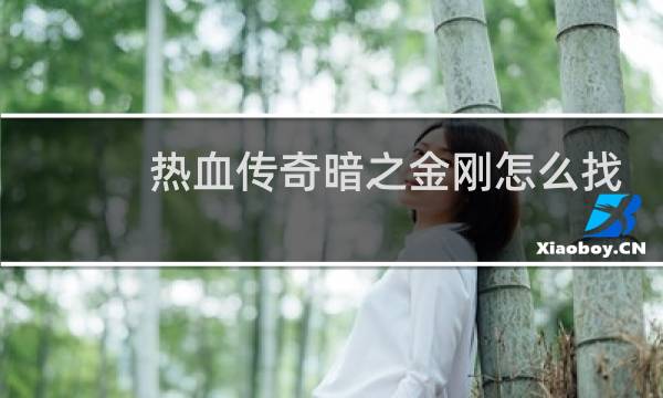 热血传奇暗之金刚怎么找