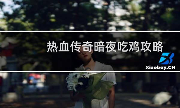 热血传奇暗夜吃鸡攻略