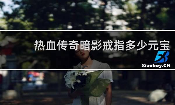 热血传奇暗影戒指多少元宝