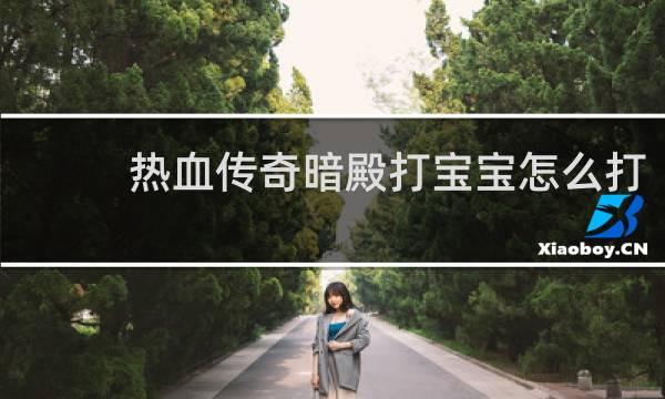 热血传奇暗殿打宝宝怎么打