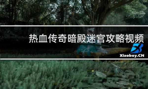 热血传奇暗殿迷宫攻略视频