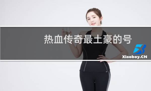 热血传奇最土豪的号