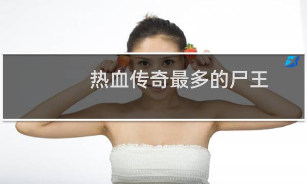 热血传奇最多的尸王