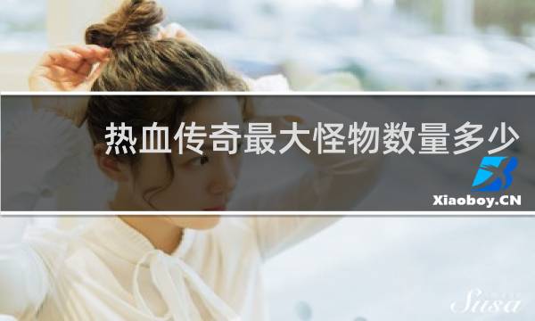 热血传奇最大怪物数量多少