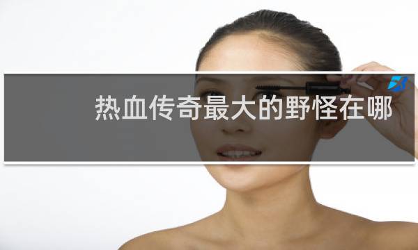 热血传奇最大的野怪在哪