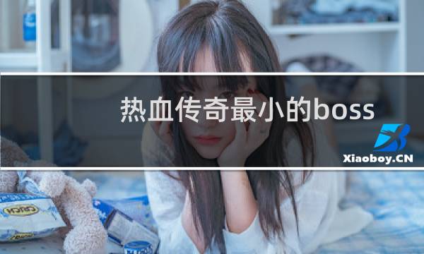 热血传奇最小的boss