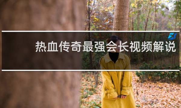 热血传奇最强会长视频解说