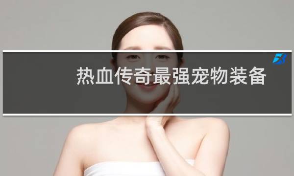 热血传奇最强宠物装备