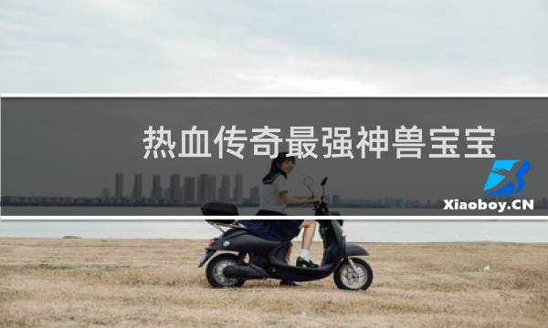 热血传奇最强神兽宝宝