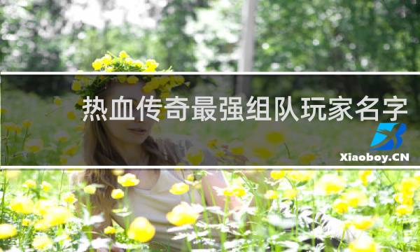 热血传奇最强组队玩家名字