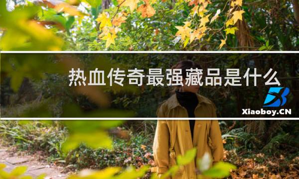 热血传奇最强藏品是什么
