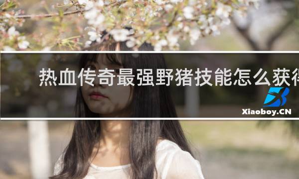 热血传奇最强野猪技能怎么获得