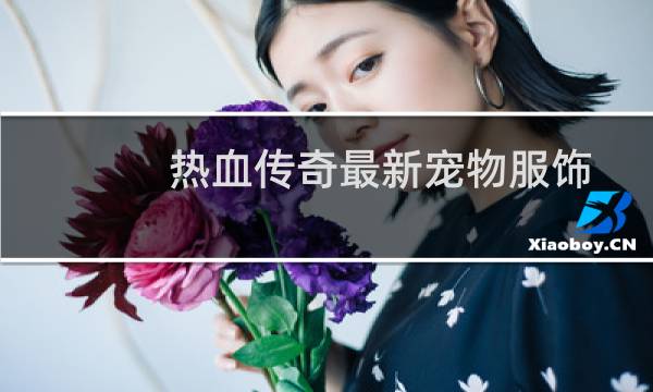 熱血傳奇最新寵物服飾