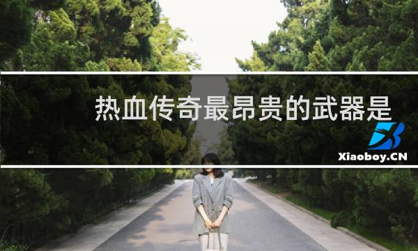热血传奇最昂贵的武器是