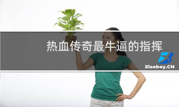 热血传奇最牛逼的指挥