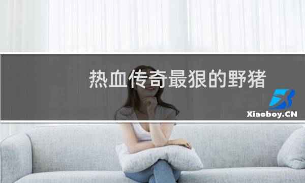 热血传奇最狠的野猪