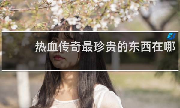 热血传奇最珍贵的东西在哪