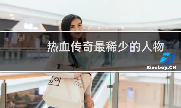 热血传奇最稀少的人物