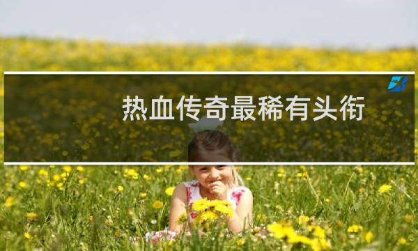 热血传奇最稀有头衔