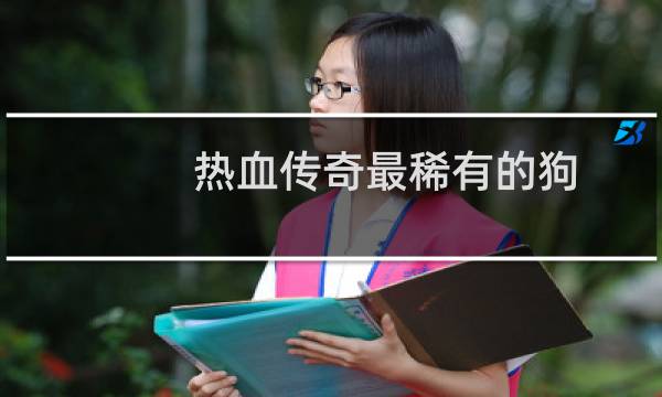 热血传奇最稀有的狗