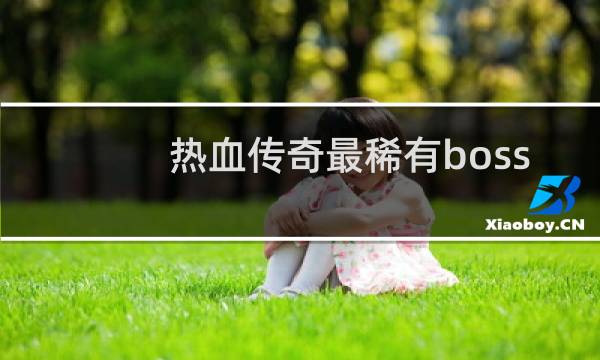 热血传奇最稀有boss