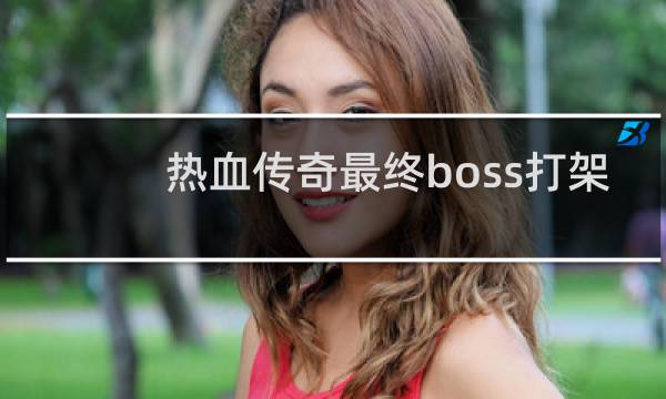 热血传奇最终boss打架