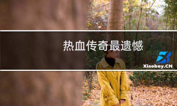 热血传奇最遗憾