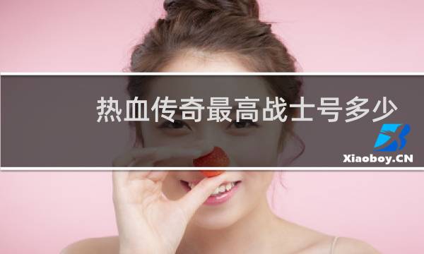热血传奇最高战士号多少