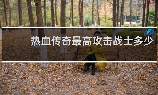 热血传奇最高攻击战士多少