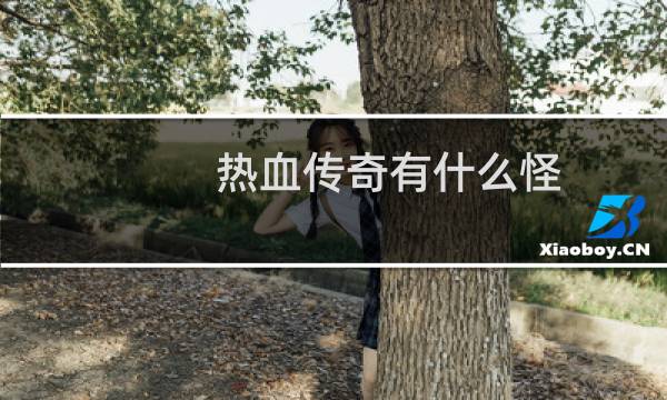热血传奇有什么怪